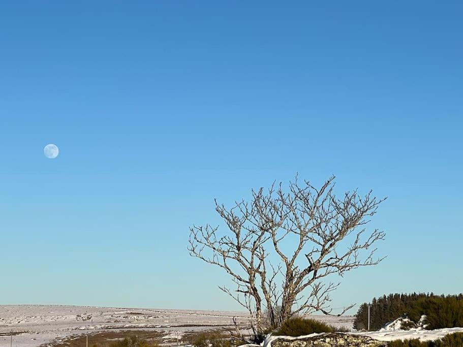Вілла Buron Coeur D'Aubrac Marchastel  Екстер'єр фото